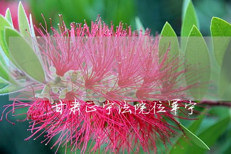 甘肃正宁法院位军宁