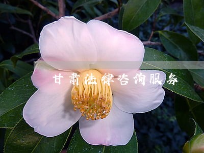 甘肃法律咨询服务 甘肃法律咨询服务