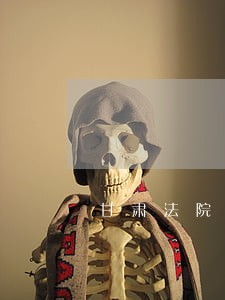 甘肃法院一案一账号 甘肃法院一案一账号