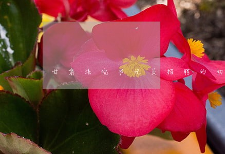 甘肃法院书记员招聘的初审