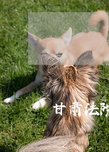 甘肃法院书记员招聘考试内容 甘肃法院书记员招聘考试内容