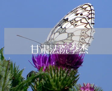甘肃法院李杰 甘肃法院李杰