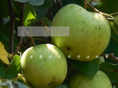 甘肃法院网司法改革 甘肃法院网司法改革