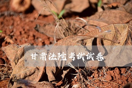 甘肃法院考试试卷 甘肃法院考试试卷