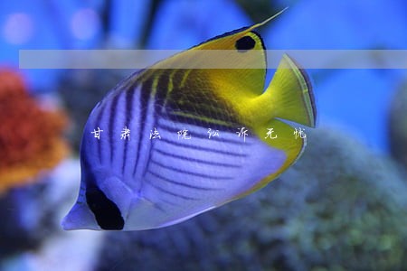 甘肃法院讼诉无忧 甘肃法院讼诉无忧