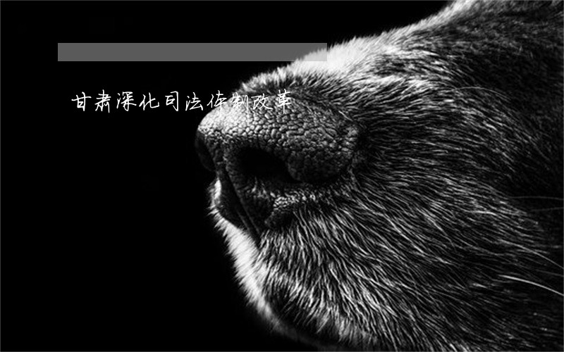 甘肃深化司法体制改革