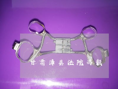 甘肃漳县法院冯毅 甘肃漳县法院冯毅