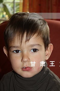 甘肃王力律师事务所地址 甘肃王力律师事务所地址