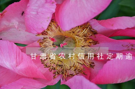 甘肃省农村信用社定期逾期怎么算 甘肃省农村信用社定期逾期怎么算
