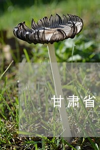 甘肃省厅召开巡察工作汇报会
