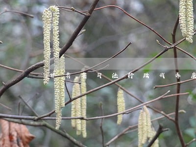甘肃省司法行政戒毒康复中心 甘肃省司法行政戒毒康复中心