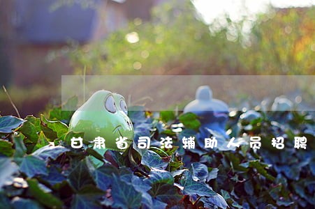 甘肃省司法辅助人员招聘