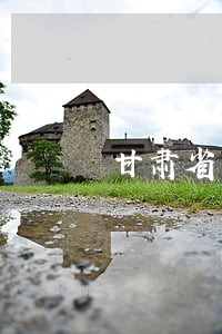甘肃省国资委法规处