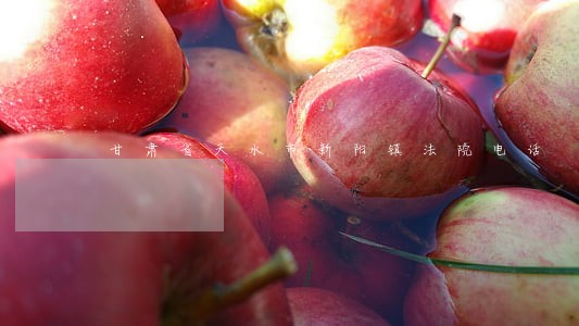 甘肃省天水市新阳镇法院电话