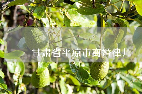 甘肃省平凉市离婚律师 甘肃省平凉市离婚律师