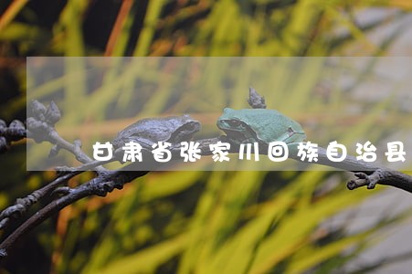 甘肃省张家川回族自治县自治条例 甘肃省张家川回族自治县自治条例
