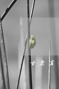 甘肃省法律援助范围