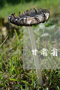 甘肃省法律顾问收费标准