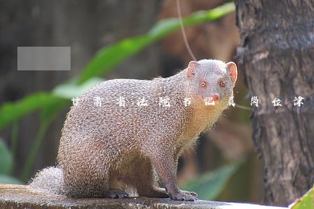 甘肃省法院书记员岗位津贴 甘肃省法院书记员岗位津贴