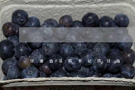 甘肃省法院书记员甘南