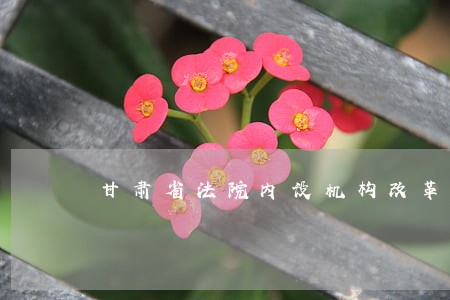甘肃省法院内设机构改革方案 甘肃省法院内设机构改革方案