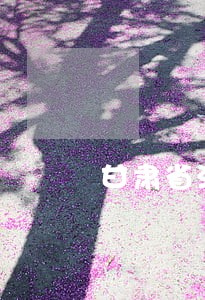 甘肃省法院土地拍卖网