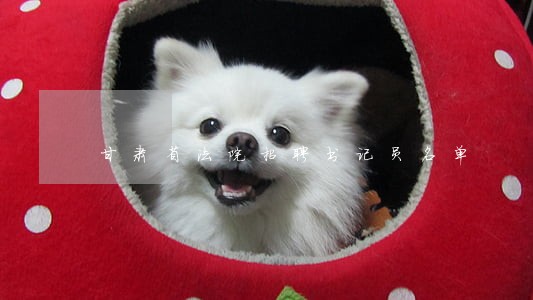 甘肃省法院招聘书记员名单