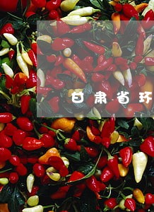 甘肃省环境法规