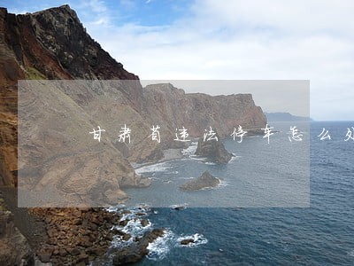 甘肃省违法停车怎么处理 甘肃省违法停车怎么处理