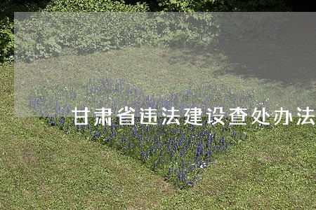 甘肃省违法建设查处办法 甘肃省违法建设查处办法