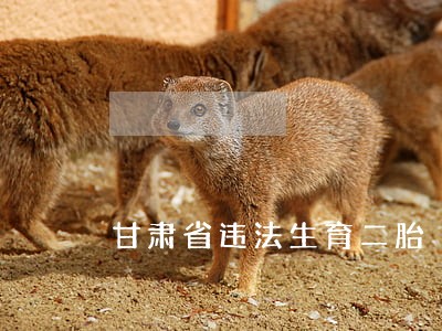 甘肃省违法生育二胎 甘肃省违法生育二胎