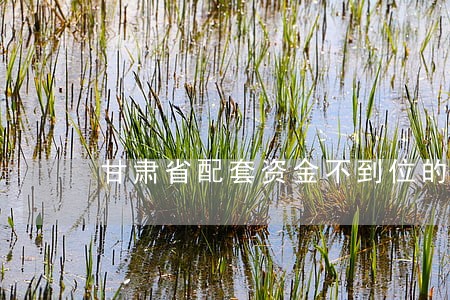 甘肃省配套资金不到位的法规 甘肃省配套资金不到位的法规