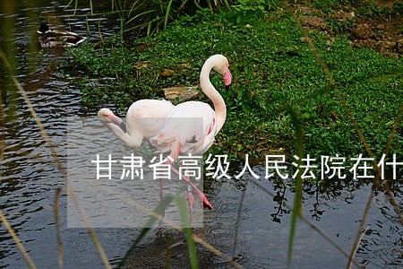 甘肃省高级人民法院在什么区