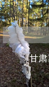 甘肃离婚协议书律师 甘肃离婚协议书律师