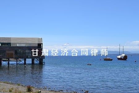 甘肃经济合同律师 甘肃经济合同律师