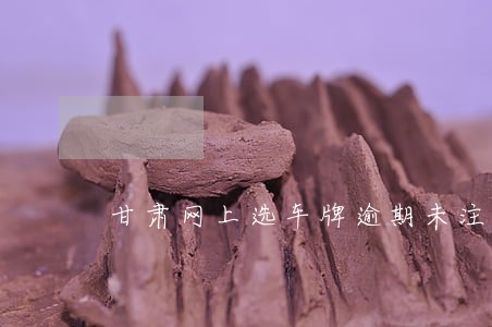 甘肃网上选车牌逾期未注册 甘肃网上选车牌逾期未注册