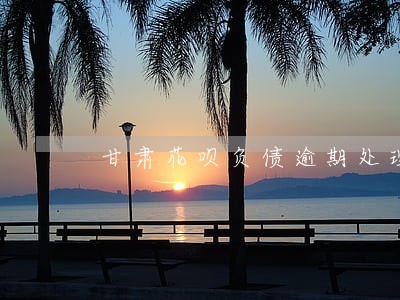 甘肃花呗负债逾期处理律师 甘肃花呗负债逾期处理律师