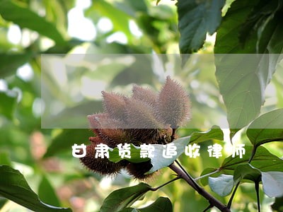 甘肃货款追收律师 甘肃货款追收律师