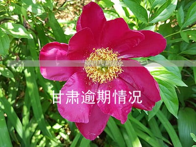 甘肃逾期情况 甘肃逾期情况