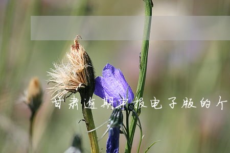 甘肃逾期申报电子版的个税申报表 甘肃逾期申报电子版的个税申报表