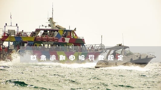 甘肃逾期申报罚款规定 甘肃逾期申报罚款规定