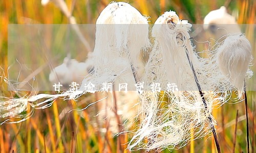 甘肃逾期网贷招标 甘肃逾期网贷招标