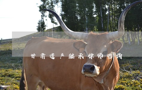 甘肃遗产继承律师咨询 甘肃遗产继承律师咨询