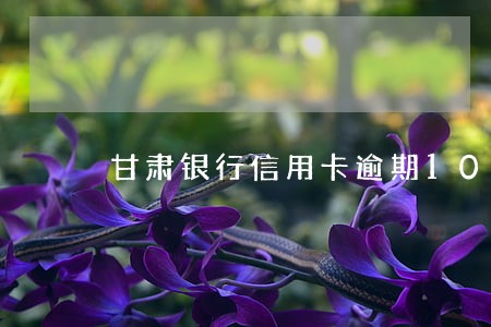 甘肃银行信用卡逾期10天怎么办 甘肃银行信用卡逾期10天怎么办