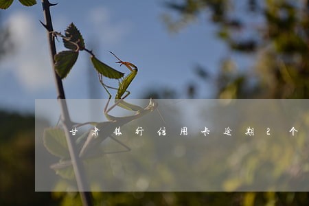 甘肃银行信用卡逾期2个月 甘肃银行信用卡逾期2个月