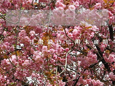甘肃银行信用卡逾期一天上征信吗 甘肃银行信用卡逾期一天上征信吗