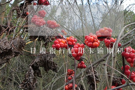 甘肃银行信用卡逾期利息 甘肃银行信用卡逾期利息
