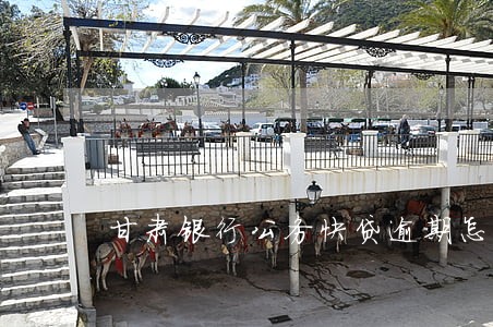 甘肃银行公务快贷逾期怎么催讨 甘肃银行公务快贷逾期怎么催讨
