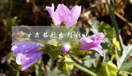 甘肃银行发短信说逾期 甘肃银行发短信说逾期
