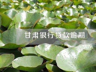 甘肃银行贷款逾期 甘肃银行贷款逾期